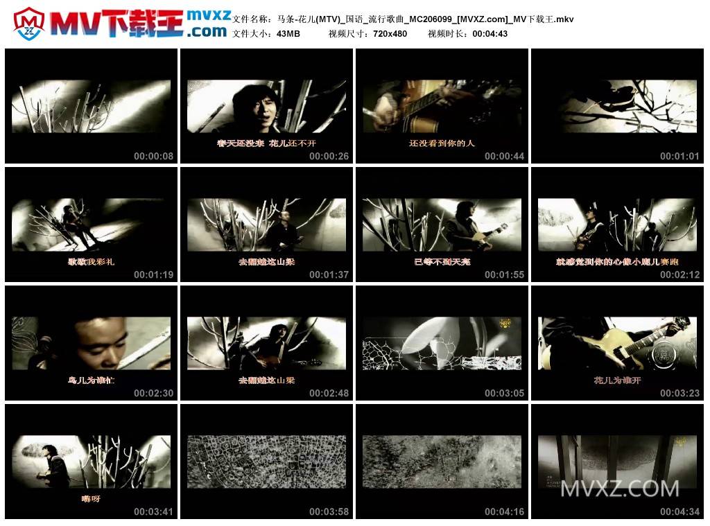 马条-花儿(MTV)_国语_流行歌曲_MC206099